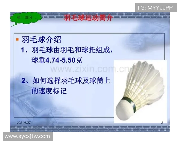 羽毛球赛事裁判判罚公平性及争议分析