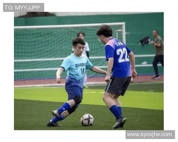 《逐梦赛场：中国青年篮球员的成长与挑战》